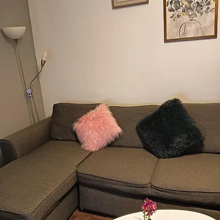 Homestay Meublee Nice